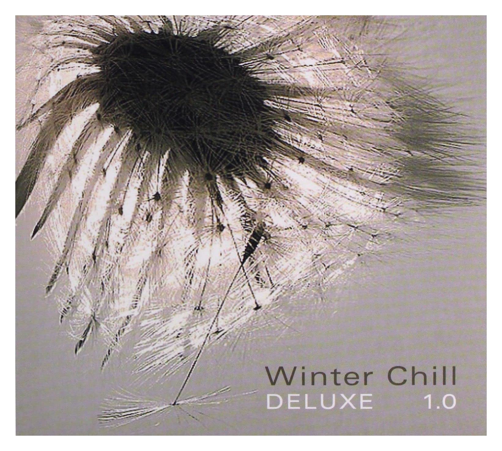 Winter Chill Deluxe 1.0: Various Artists: Amazon.ca: Music